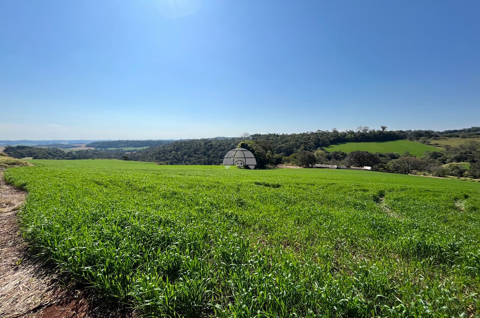 Terreno/Área à venda em Zona Rural, Pato Branco — Portal Chave Fácil