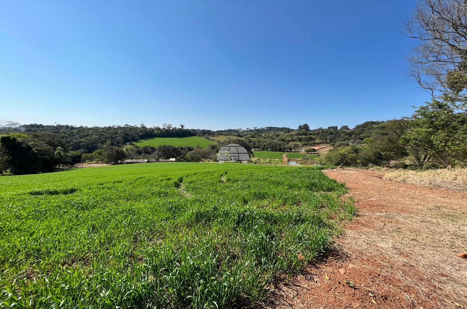 Terreno/Área à venda em Zona Rural, Pato Branco — Portal Chave Fácil