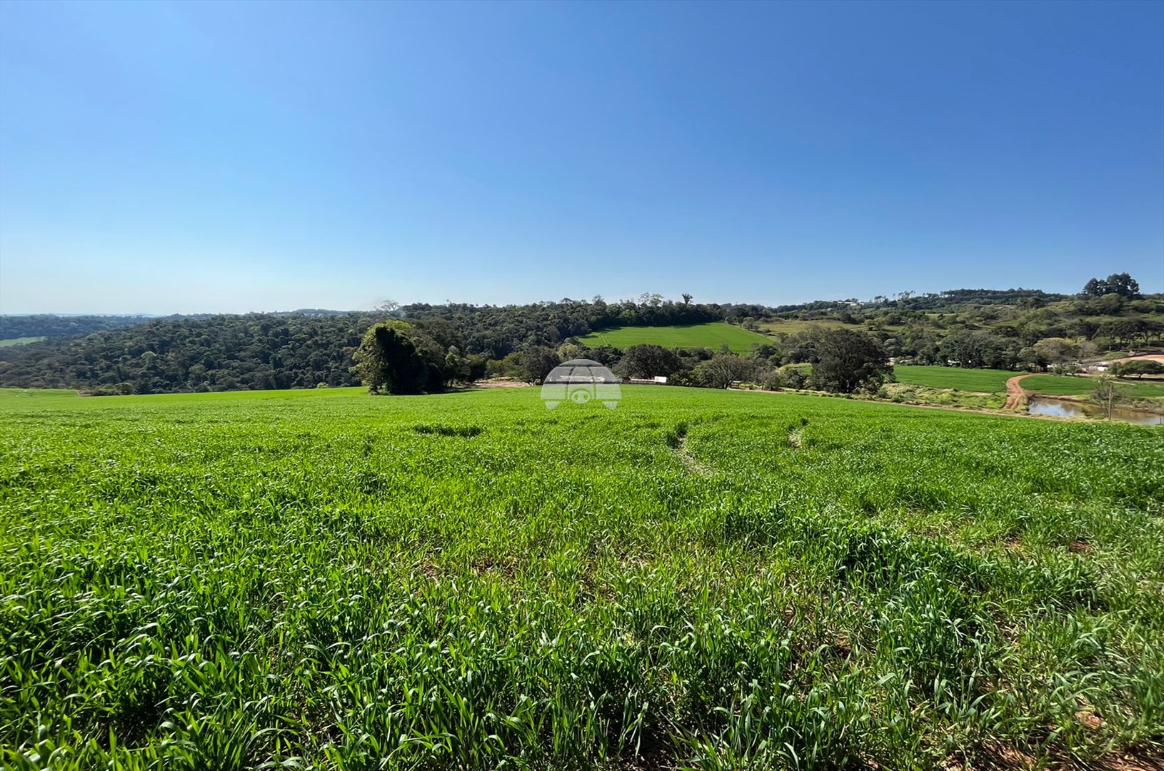Terreno/Área à venda em Zona Rural, Pato Branco — Portal Chave Fácil