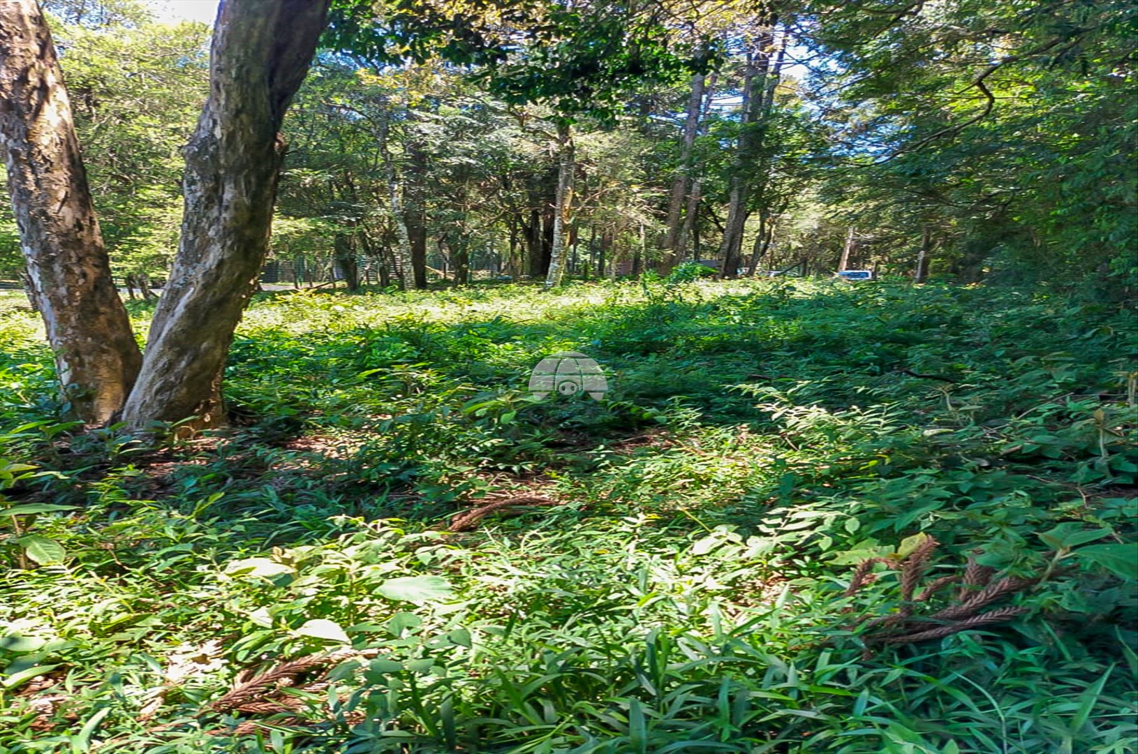 Terreno/Área à venda em Aristocrata, São José dos Pinhais — Portal Chave Fácil