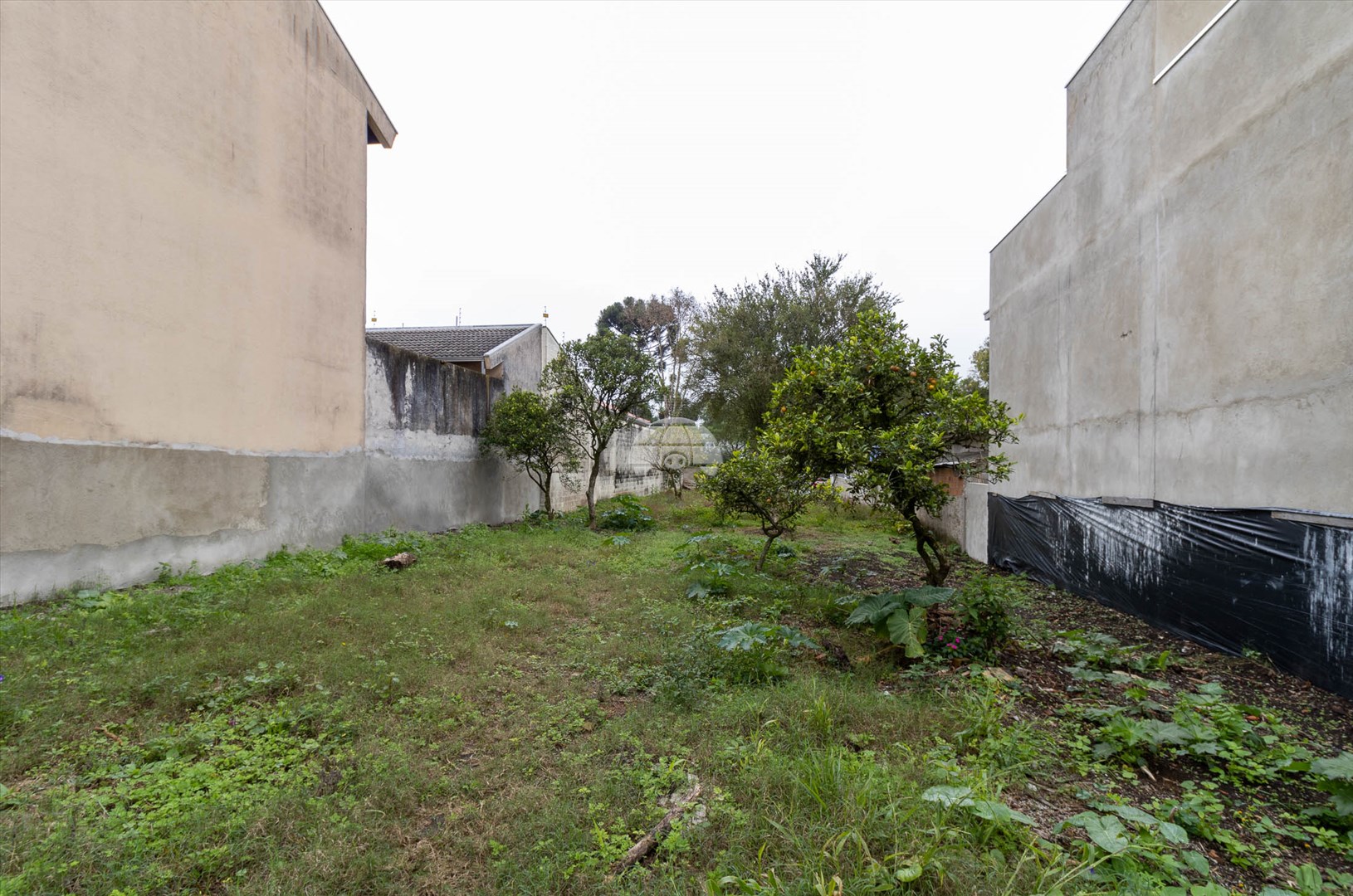 Terreno Comercial/Residencial para Locação no Bairro Bacacheri ref. 86605 (8 / 10)