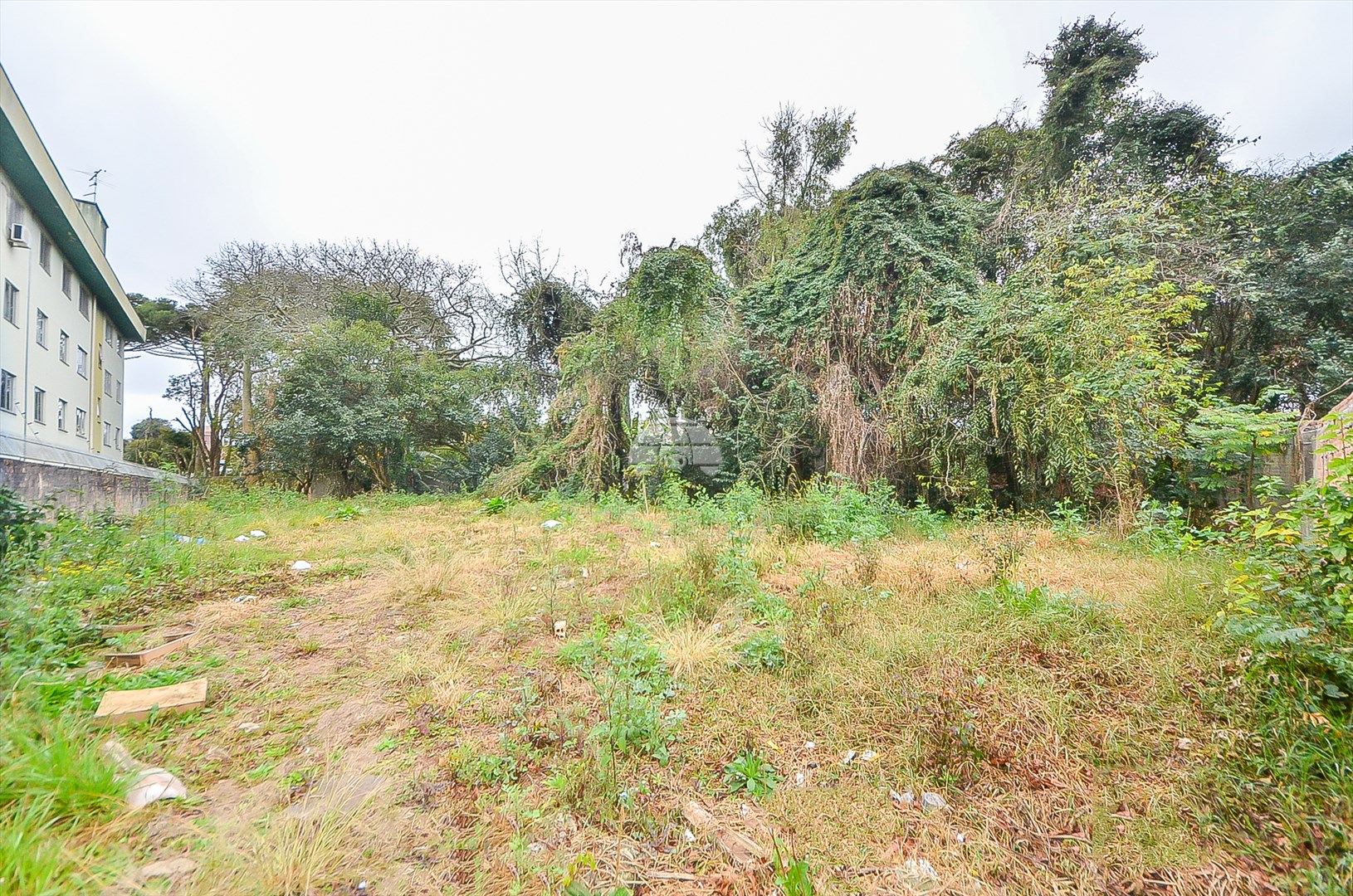 TERRENO