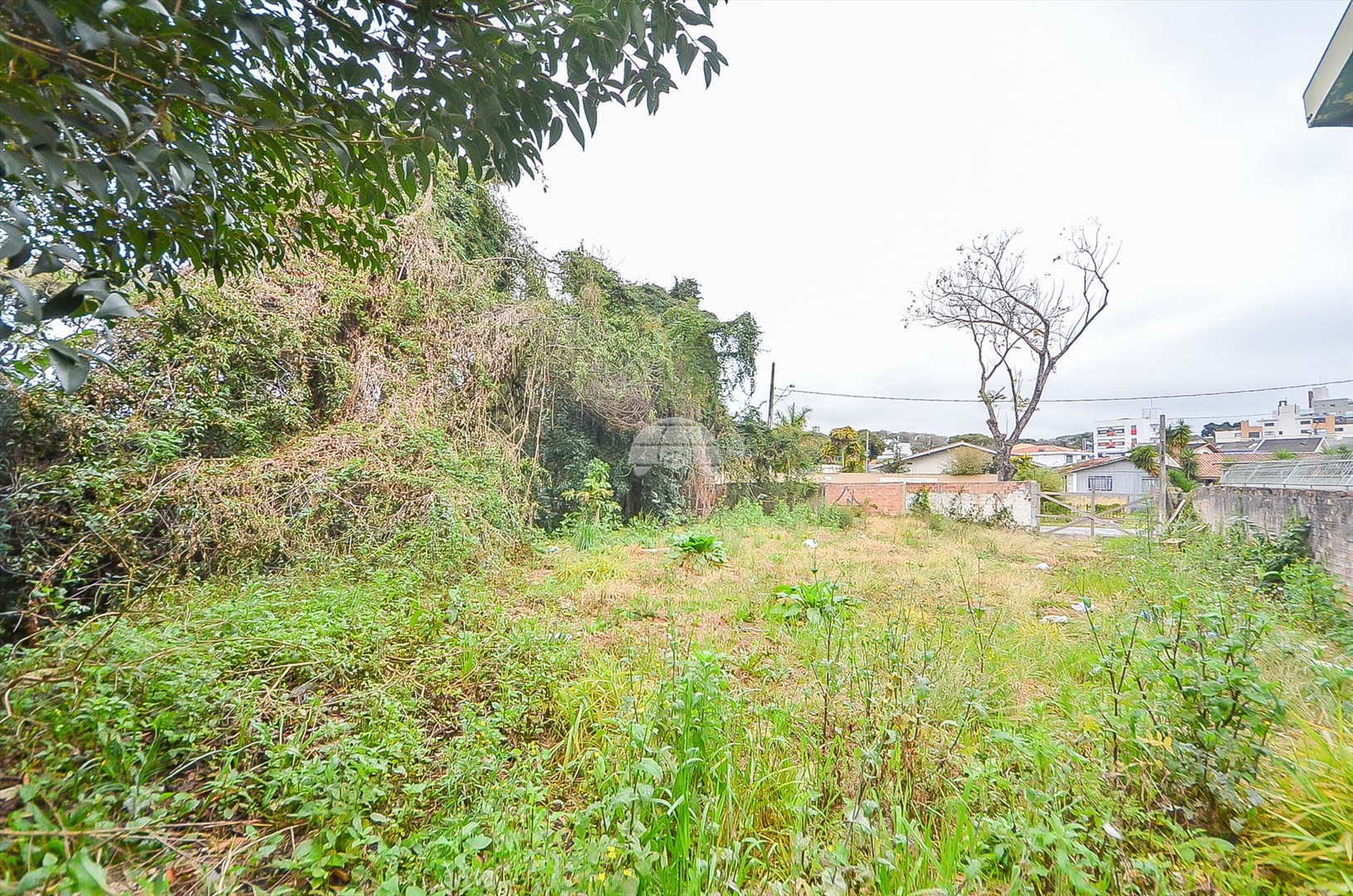 TERRENO