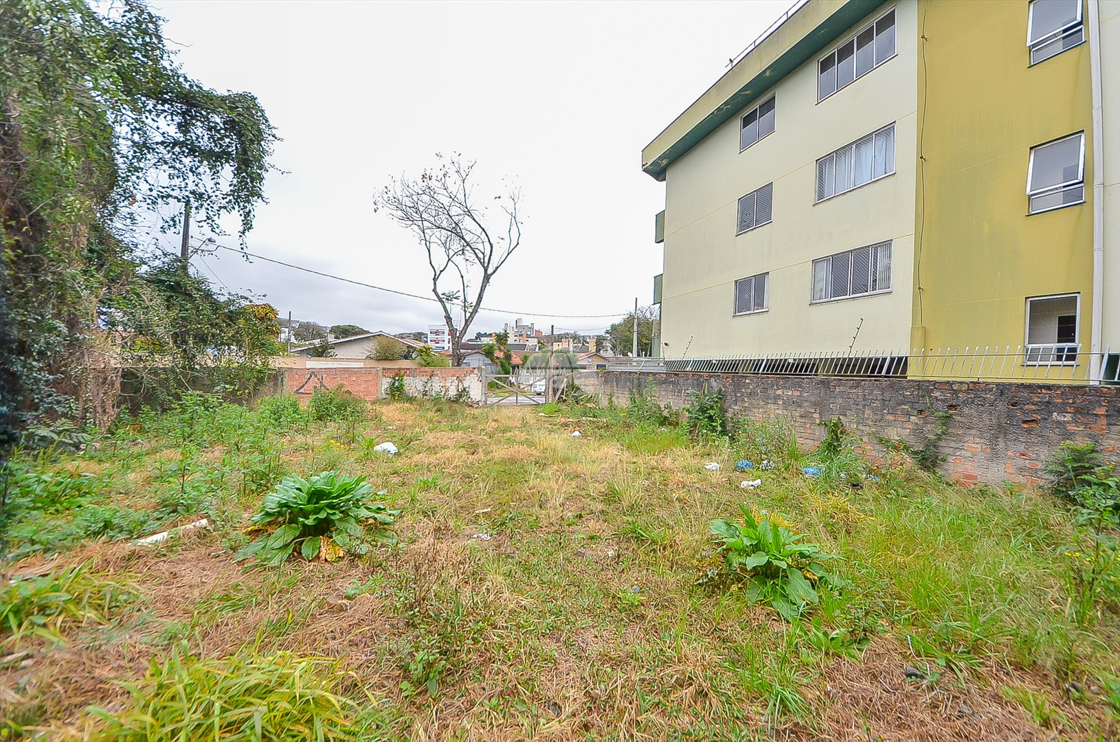 TERRENO