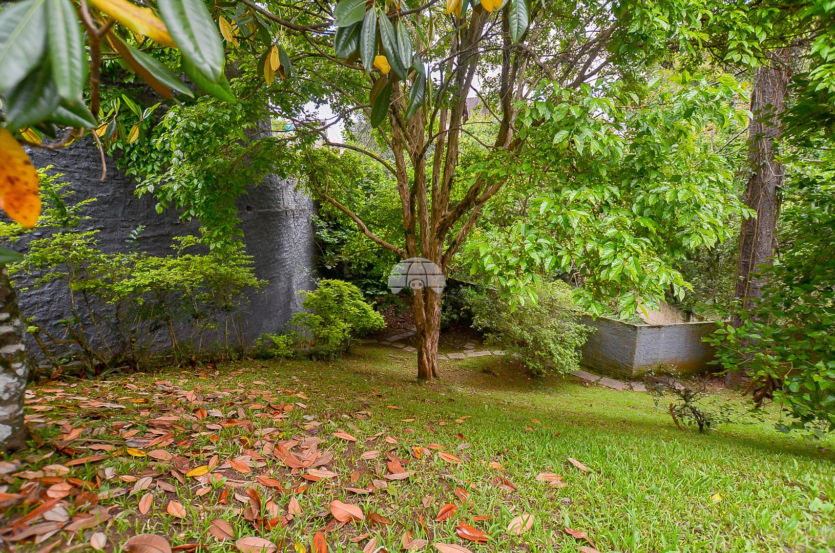 Casa à venda em Bigorrilho, Curitiba — Portal Chave Fácil