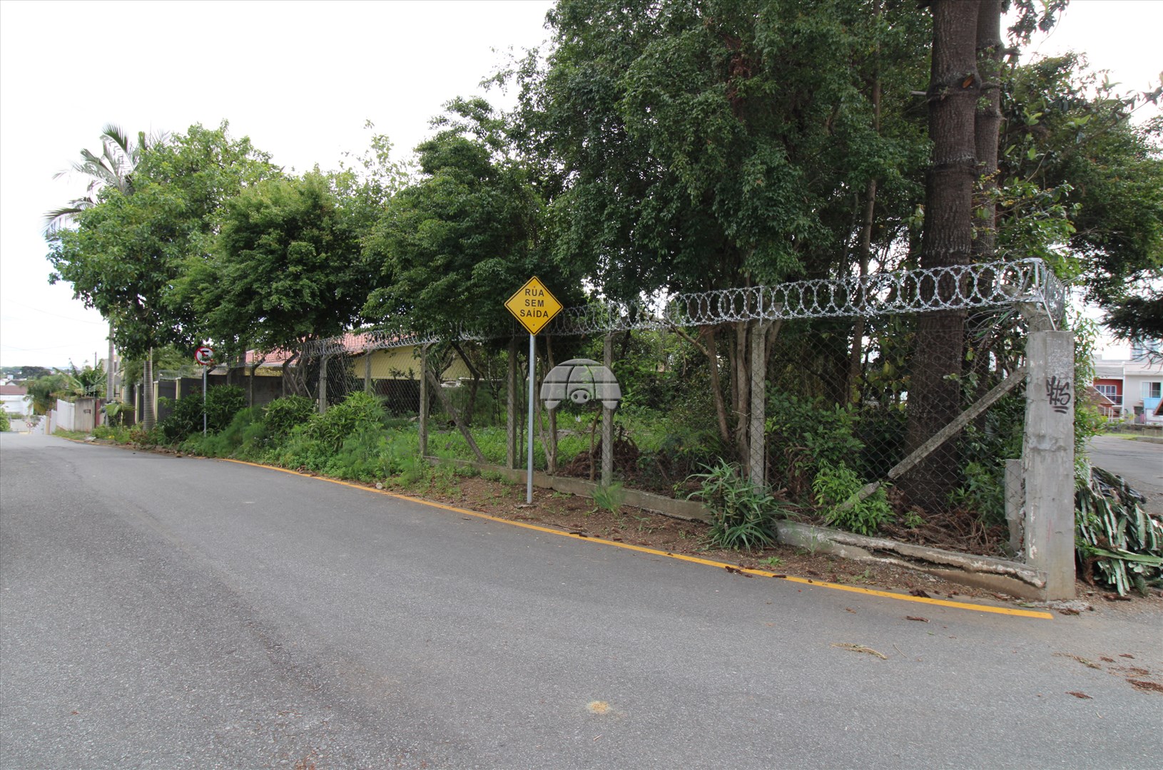 Terreno/Área para alugar em Campina Do Siqueira, Curitiba — Portal Chave Fácil