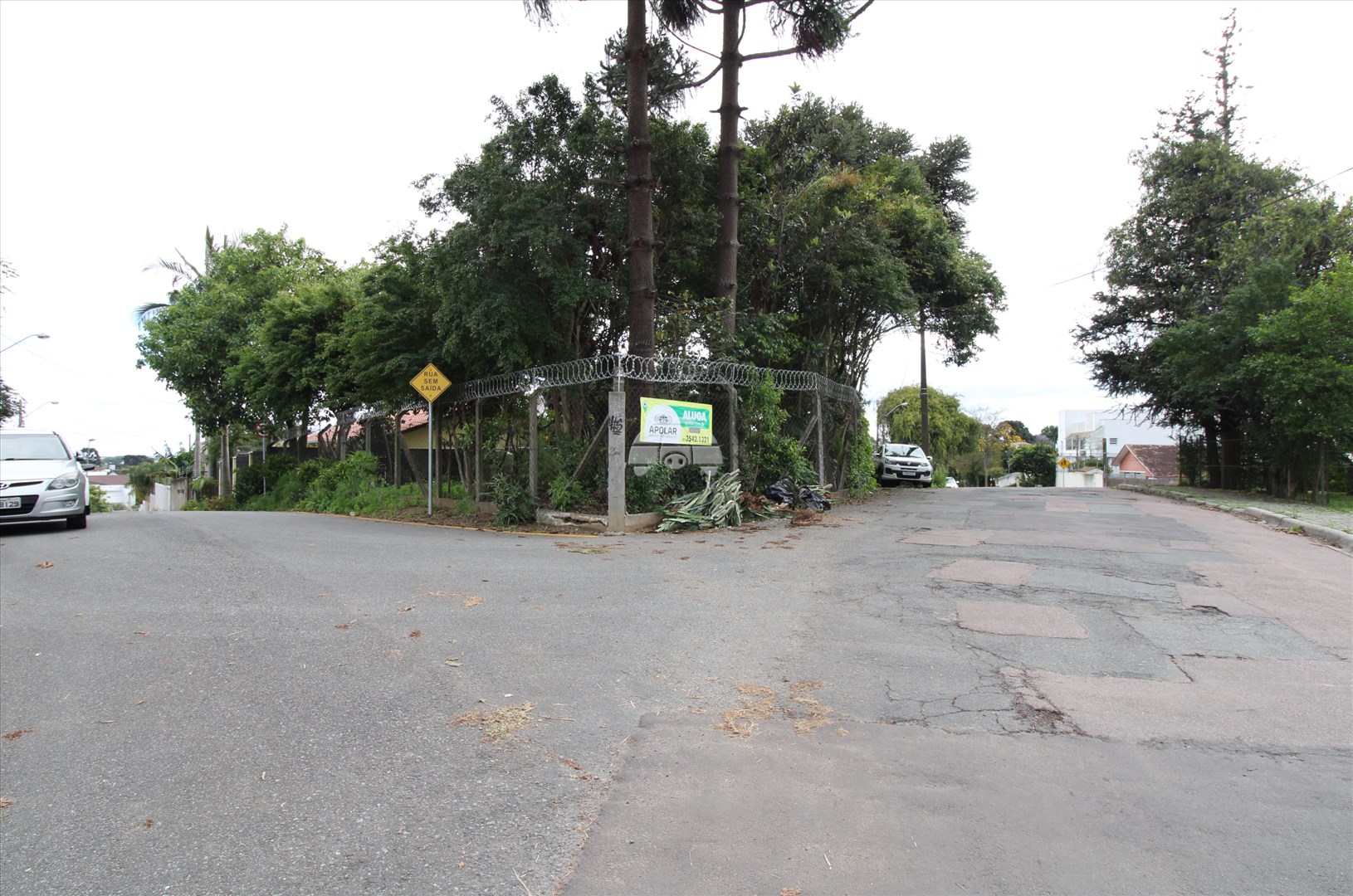 Terreno/Área para alugar em Campina Do Siqueira, Curitiba — Portal Chave Fácil