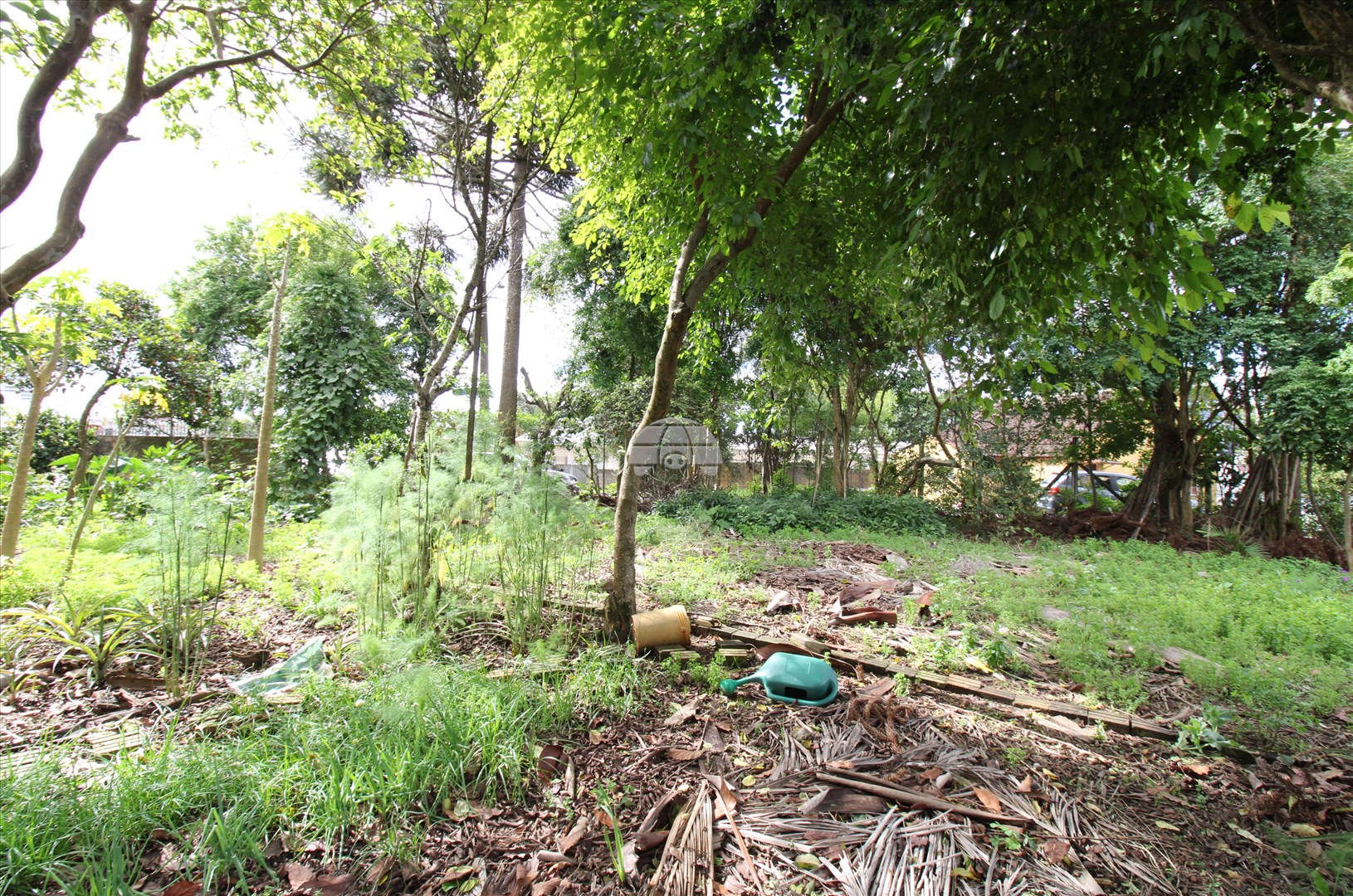 Terreno/Área para alugar em Campina Do Siqueira, Curitiba — Portal Chave Fácil