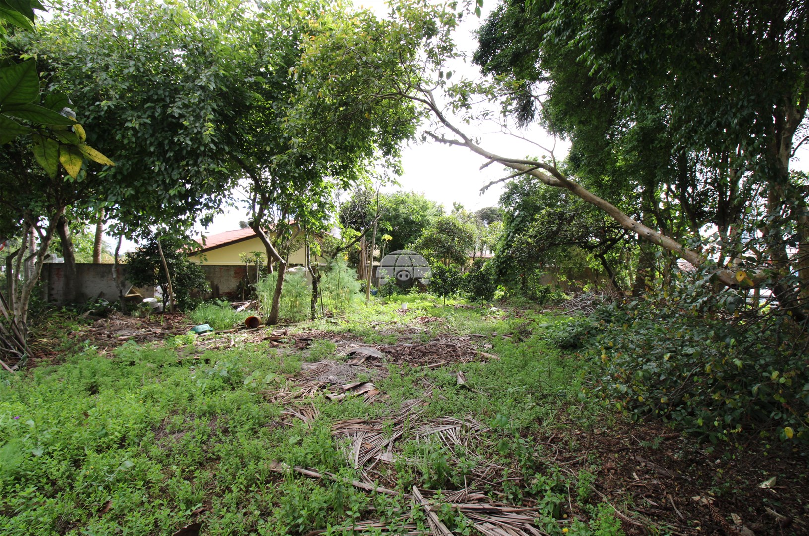 Terreno/Área para alugar em Campina Do Siqueira, Curitiba — Portal Chave Fácil