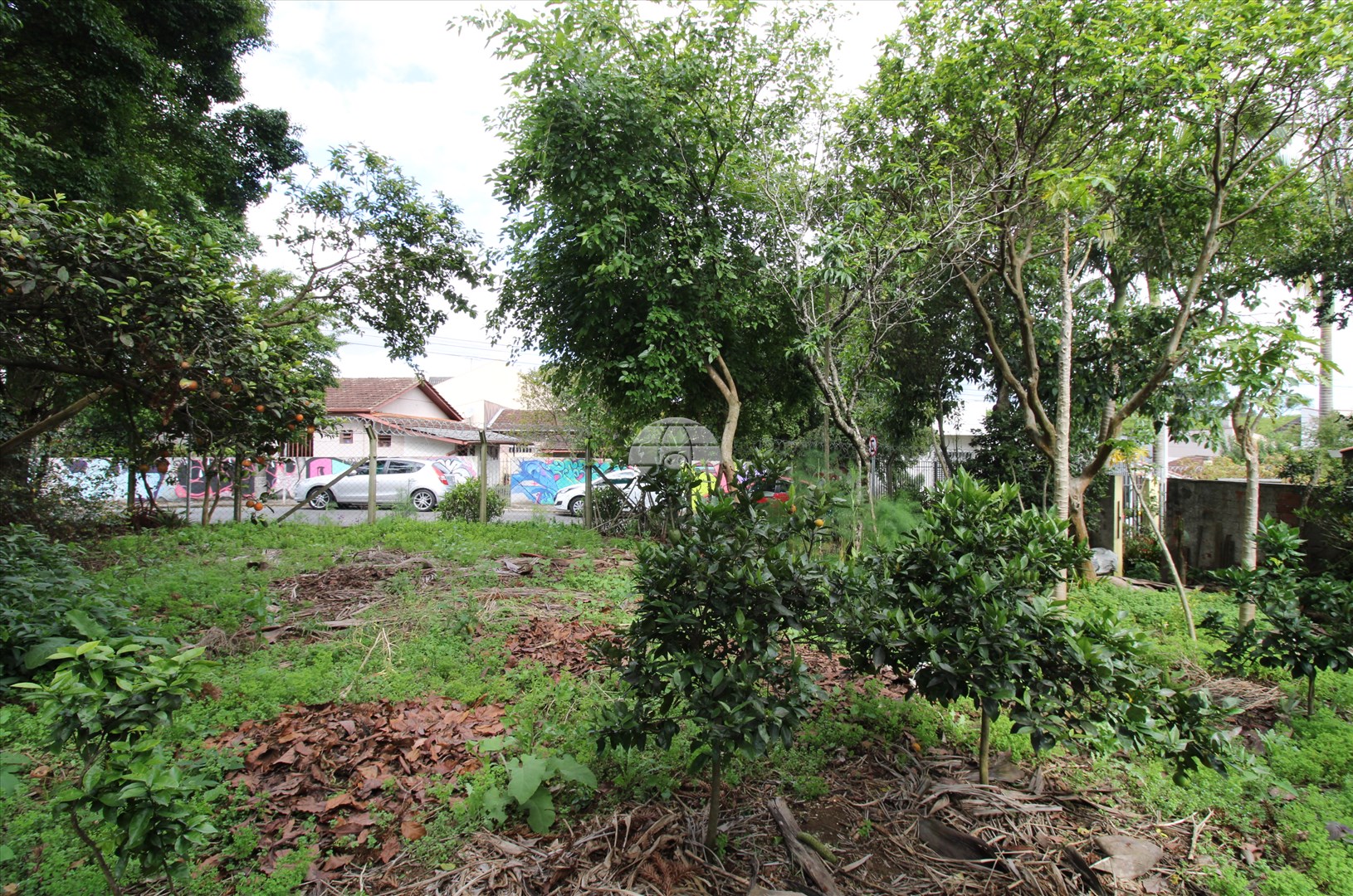 Terreno/Área para alugar em Campina Do Siqueira, Curitiba — Portal Chave Fácil