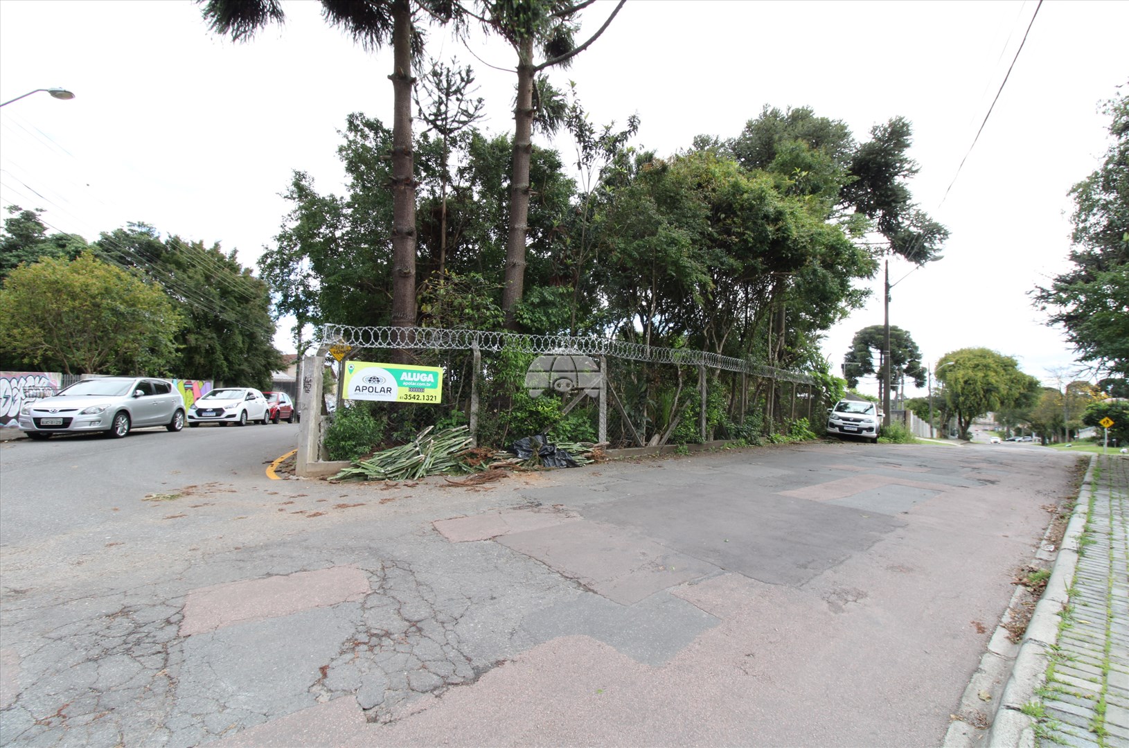 Terreno/Área para alugar em Campina Do Siqueira, Curitiba — Portal Chave Fácil