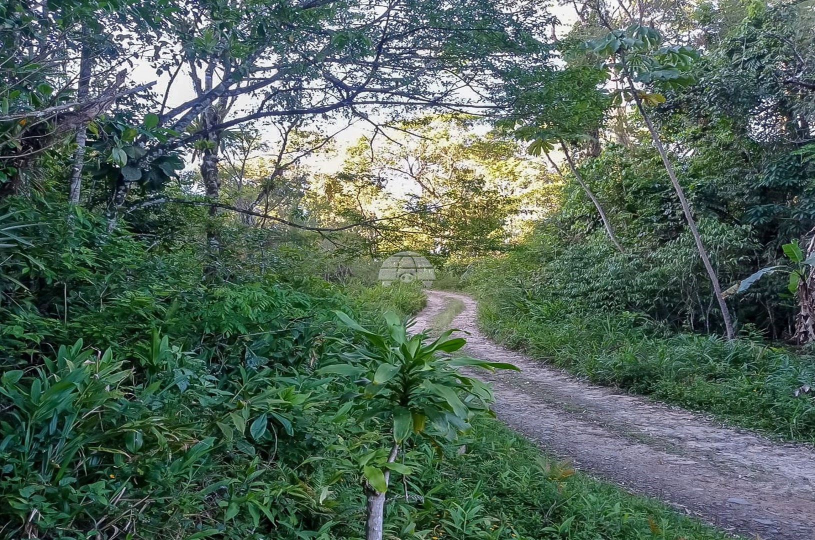 Terreno/Área à venda em Zona Rural, Morretes — Portal Chave Fácil