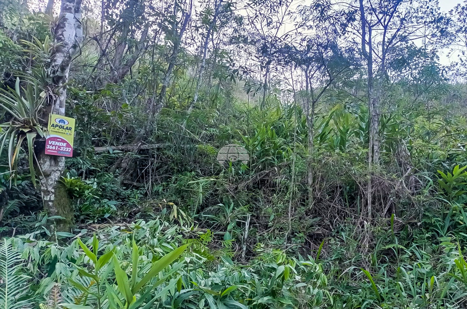Terreno/Área à venda em Zona Rural, Morretes — Portal Chave Fácil
