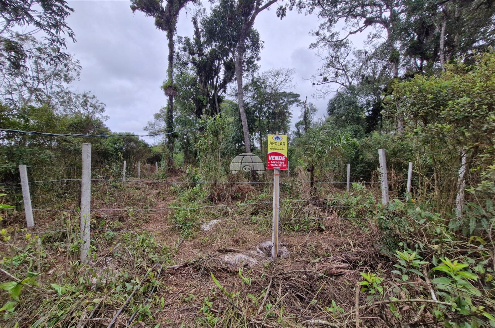 TERRENO