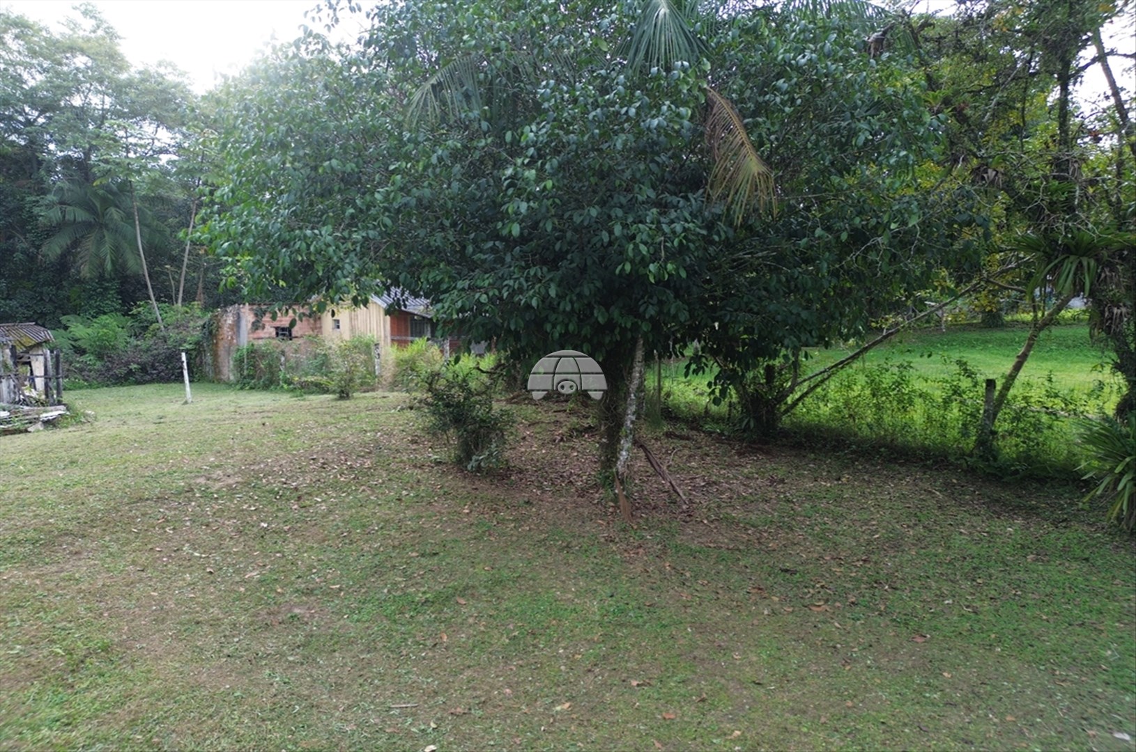 Fazenda à venda em Colonia Pereira, Paranaguá — Portal Chave Fácil