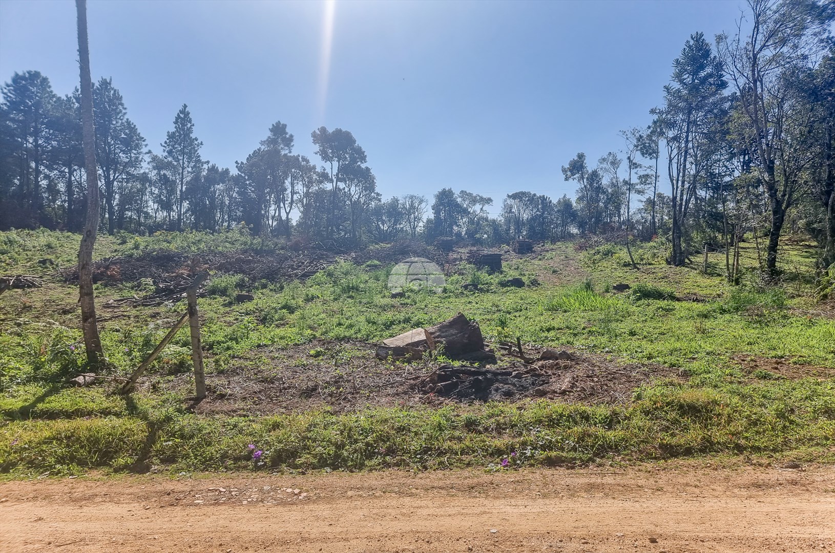 Terreno/Área à venda em Zona Rural, Tijucas do Sul — Portal Chave Fácil