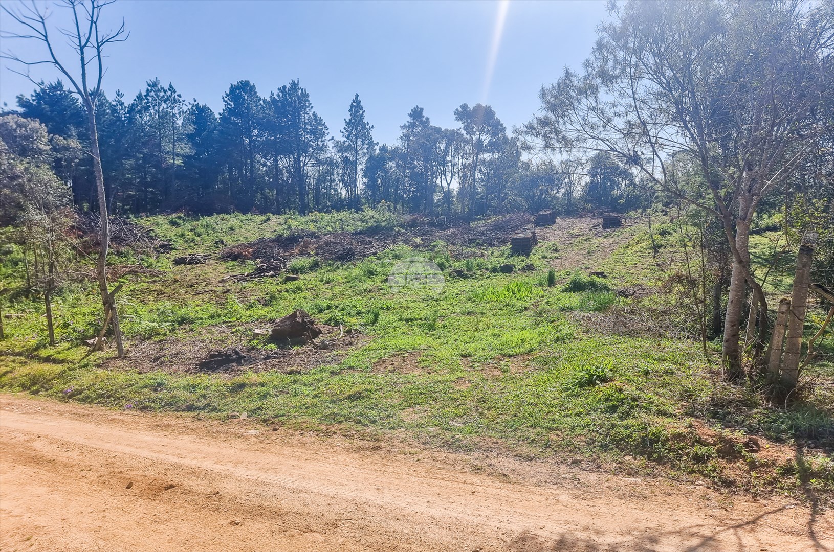 Terreno/Área à venda em Zona Rural, Tijucas do Sul — Portal Chave Fácil