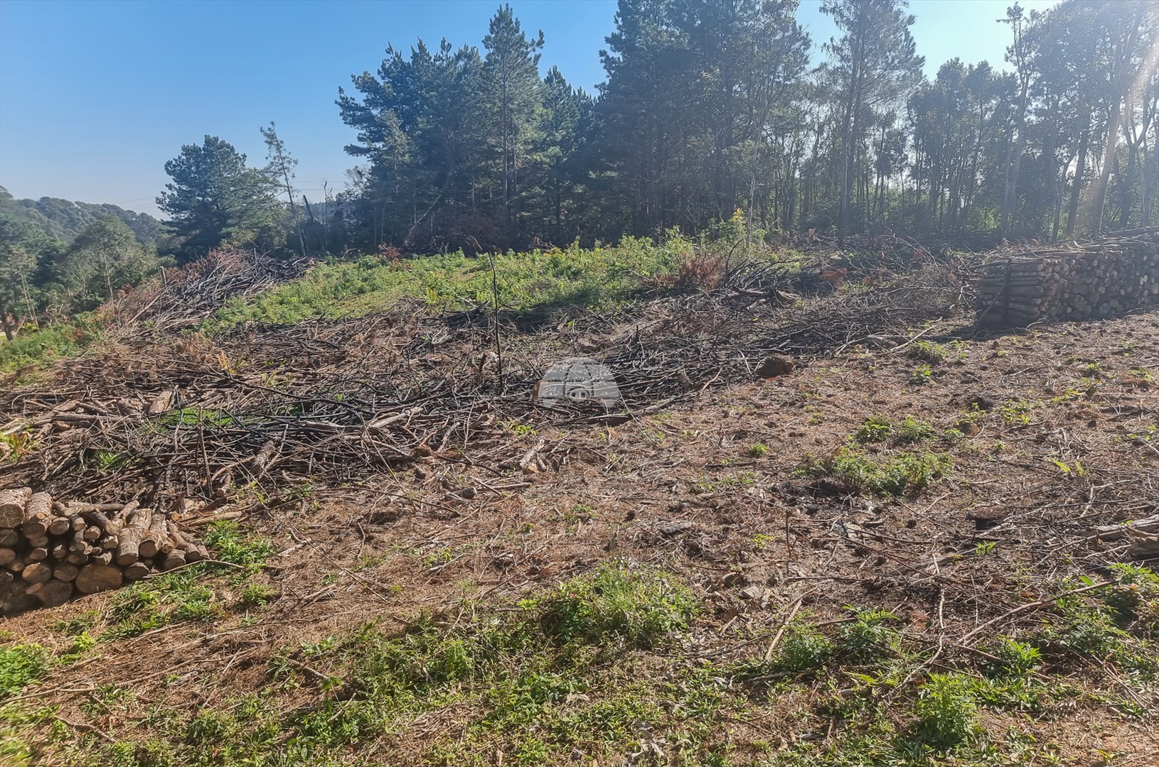 Terreno/Área à venda em Zona Rural, Tijucas do Sul — Portal Chave Fácil