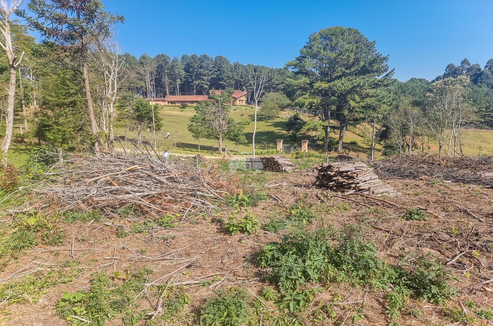 Terreno/Área à venda em Zona Rural, Tijucas do Sul — Portal Chave Fácil