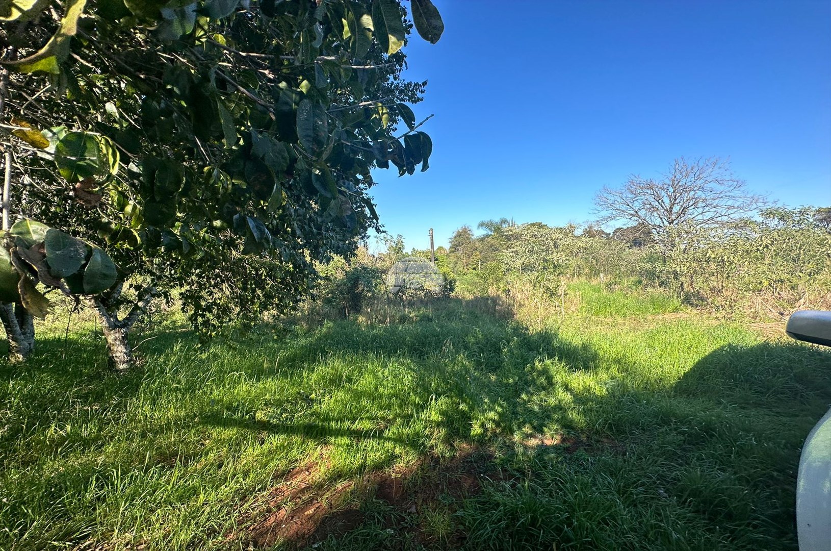 Terreno/Área à venda em Zona Rural, Coronel Vivida — Portal Chave Fácil