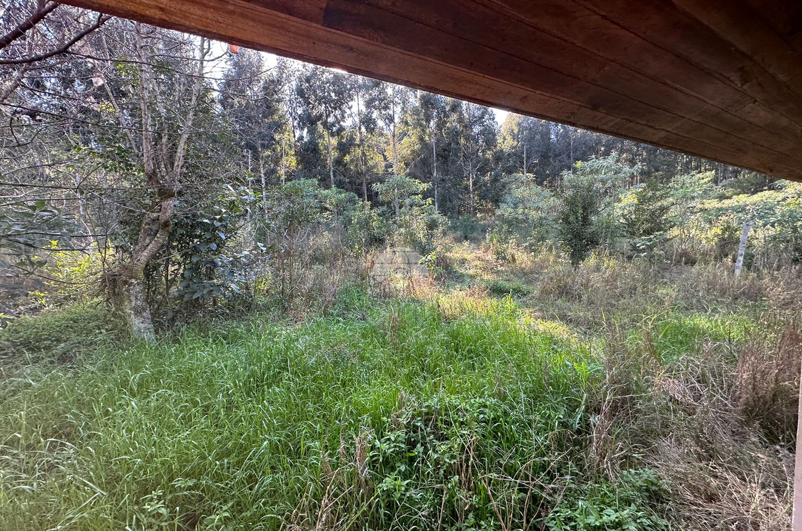 Terreno/Área à venda em Zona Rural, Coronel Vivida — Portal Chave Fácil