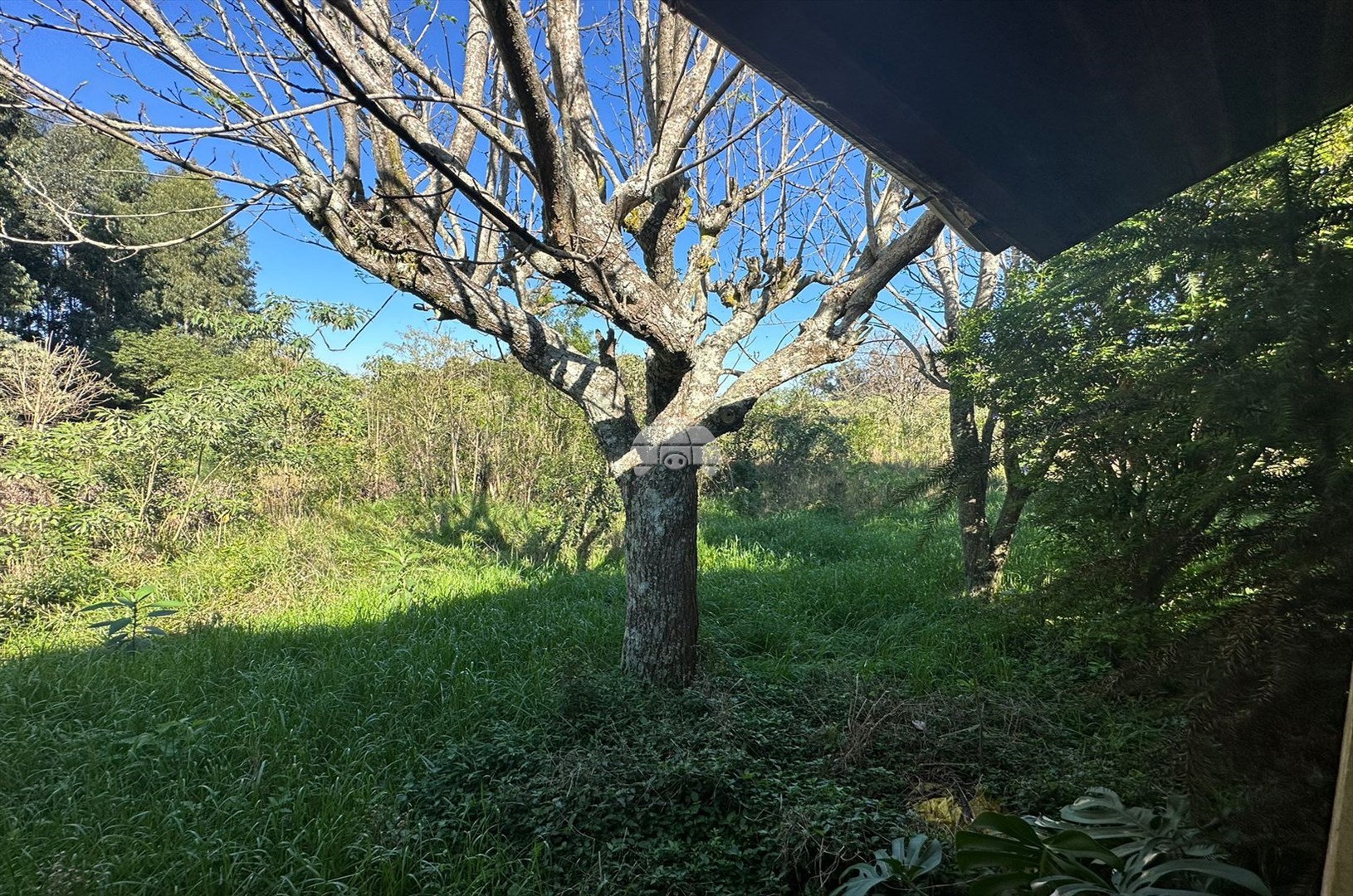 Terreno/Área à venda em Zona Rural, Coronel Vivida — Portal Chave Fácil