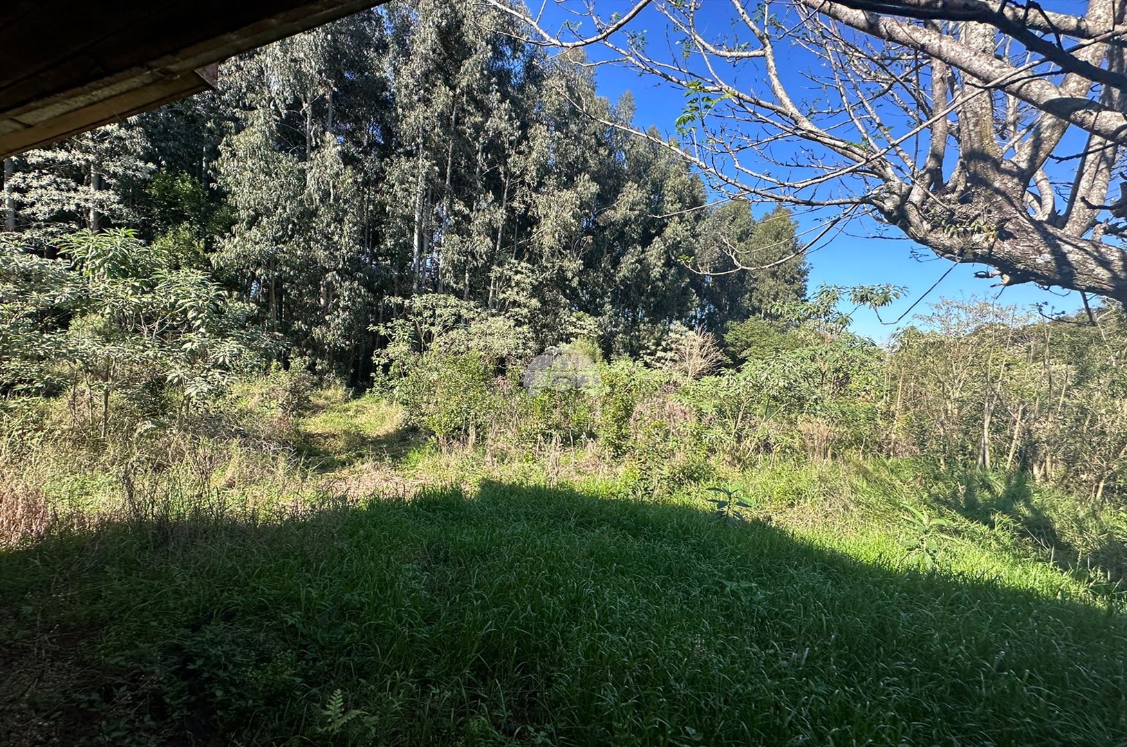 Terreno/Área à venda em Zona Rural, Coronel Vivida — Portal Chave Fácil