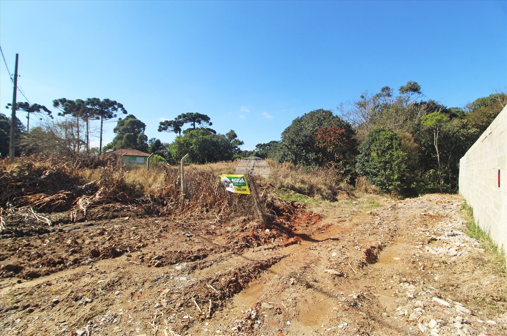 Terreno/Área para alugar em Jardim Marambaia, Almirante Tamandaré — Portal Chave Fácil
