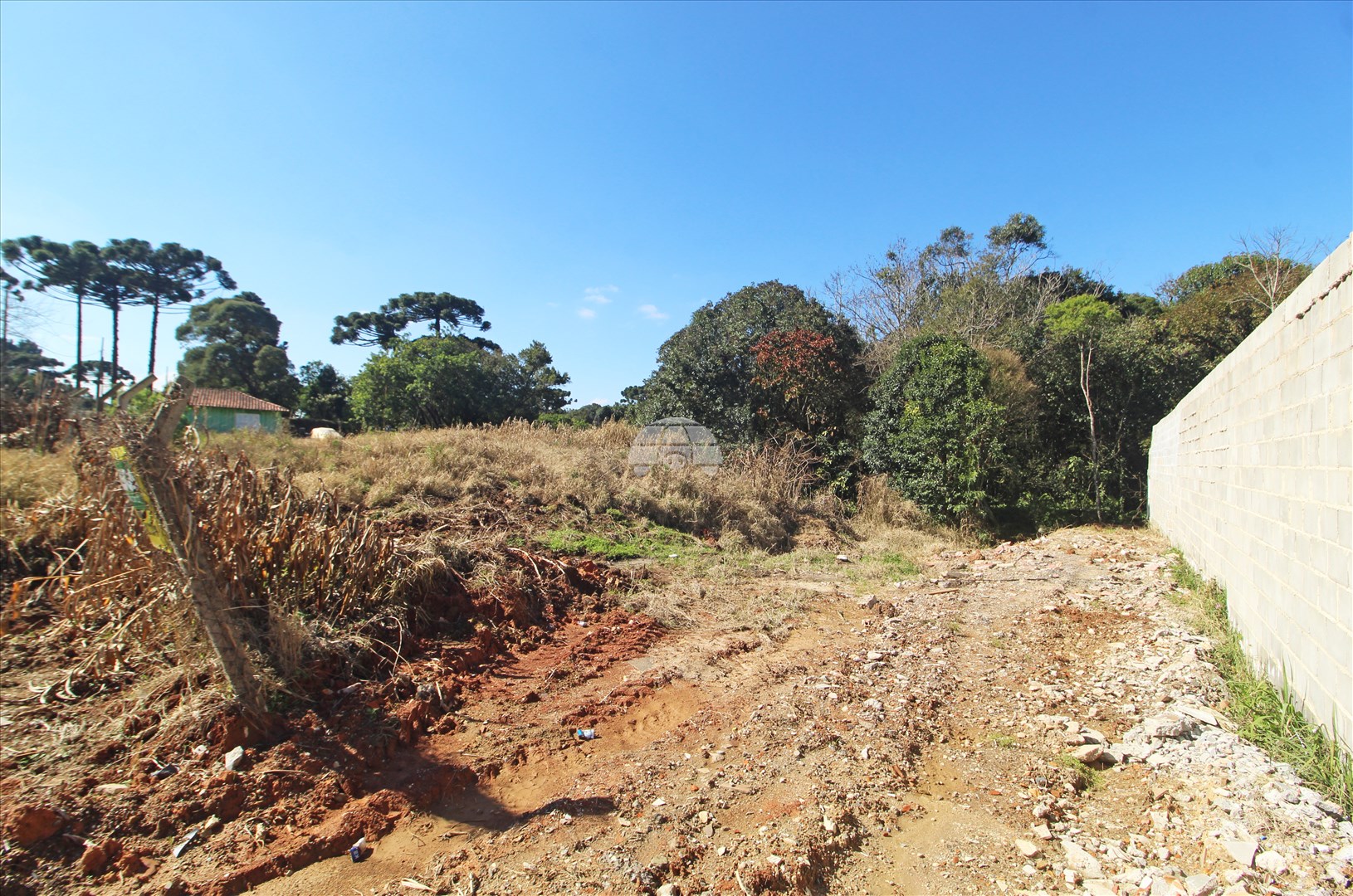 Terreno/Área para alugar em Jardim Marambaia, Almirante Tamandaré — Portal Chave Fácil