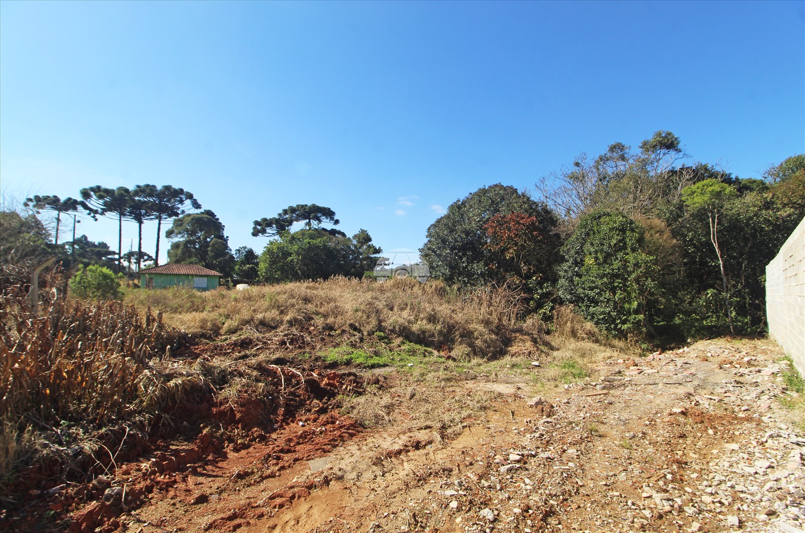 Terreno/Área para alugar em Jardim Marambaia, Almirante Tamandaré — Portal Chave Fácil
