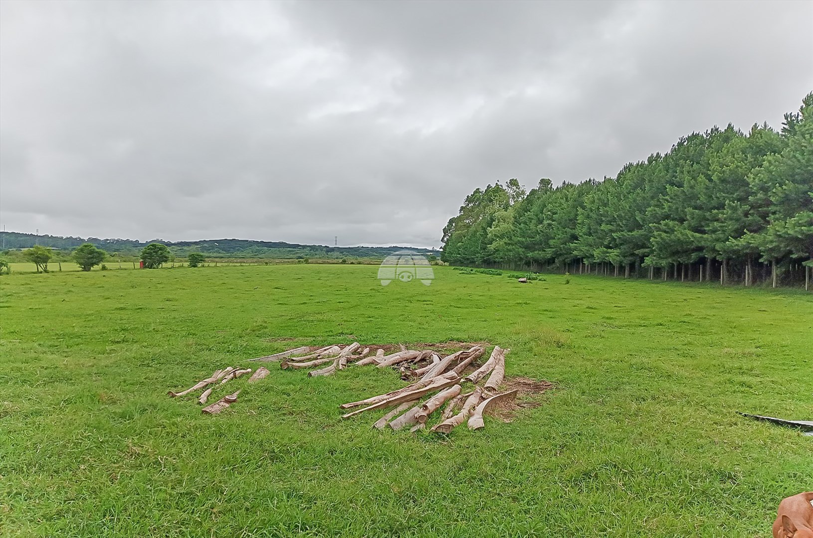 Terreno/Área à venda em Parque Das Araucarias, Piraquara — Portal Chave Fácil