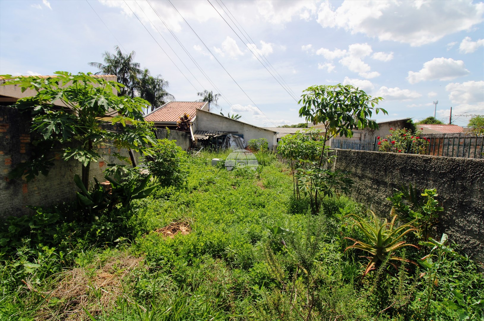 Terreno/Área para alugar em Centro, Pinhais — Portal Chave Fácil