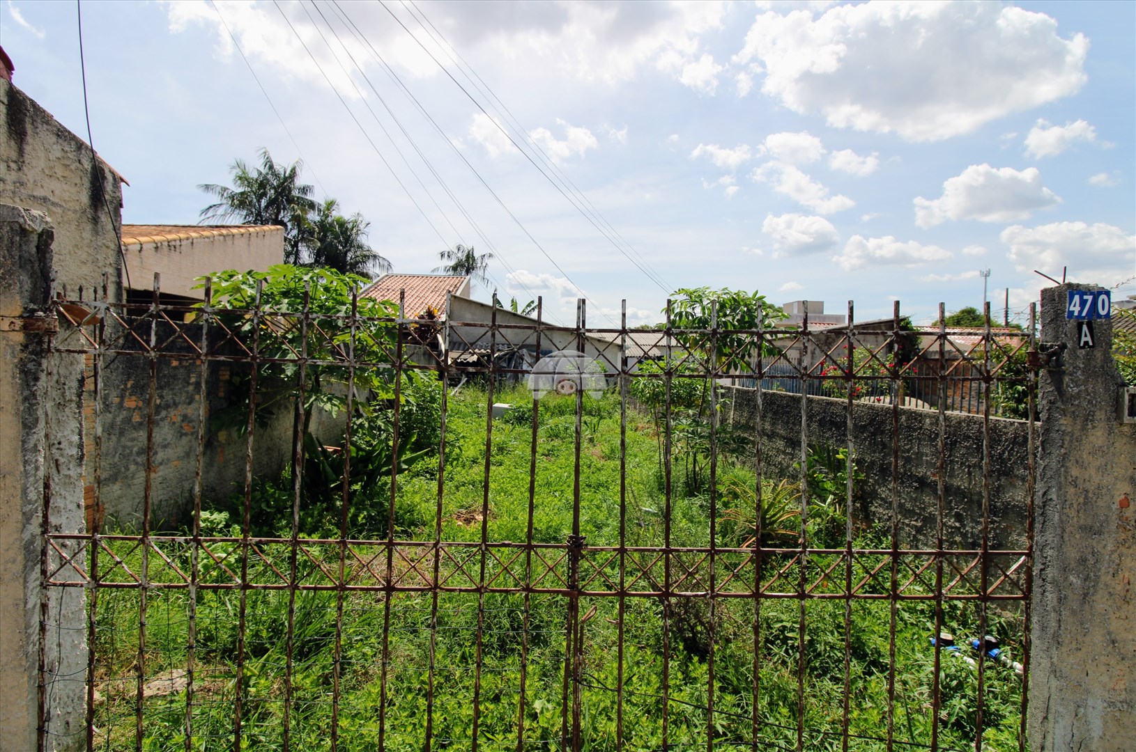 Terreno/Área para alugar em Centro, Pinhais — Portal Chave Fácil