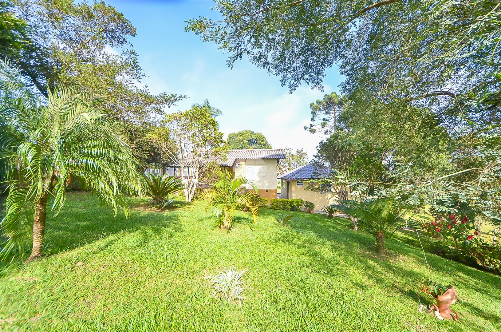 Terreno/Área à venda em Umbará, Curitiba — Imóveis em Curitiba - Jamaica Imóveis