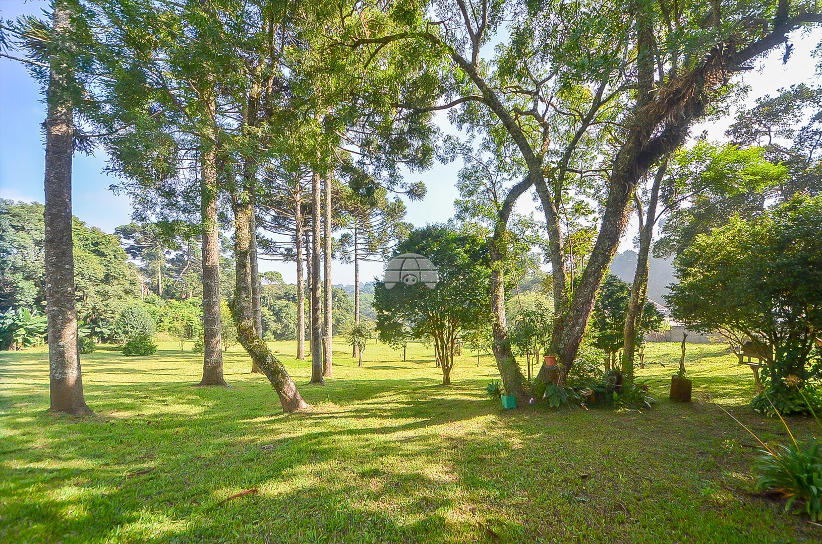 Terreno/Área à venda em Umbará, Curitiba — Imóveis em Curitiba - Jamaica Imóveis