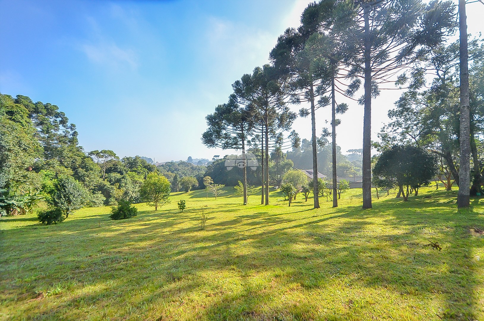 Terreno/Área à venda em Umbará, Curitiba — Imóveis em Curitiba - Jamaica Imóveis