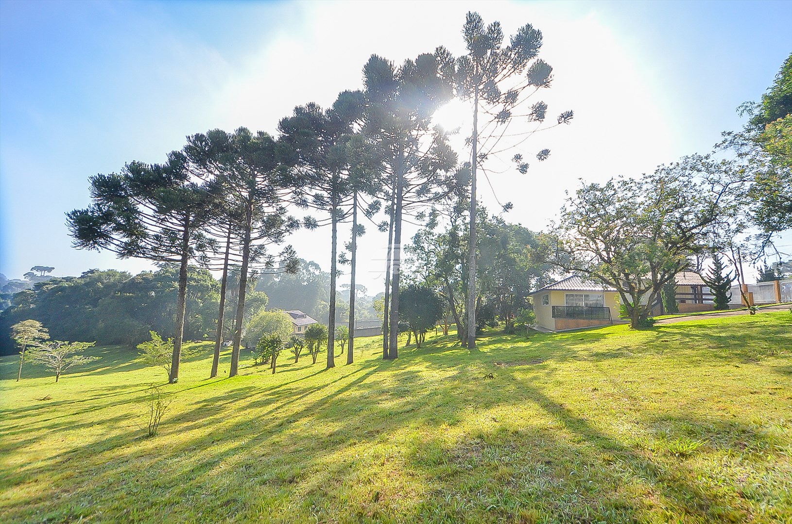 Terreno/Área à venda em Umbará, Curitiba — Imóveis em Curitiba - Jamaica Imóveis