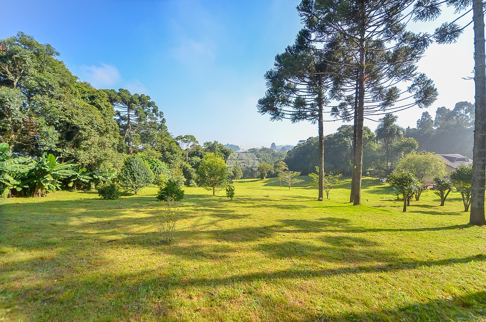 Terreno/Área à venda em Umbará, Curitiba — Imóveis em Curitiba - Jamaica Imóveis
