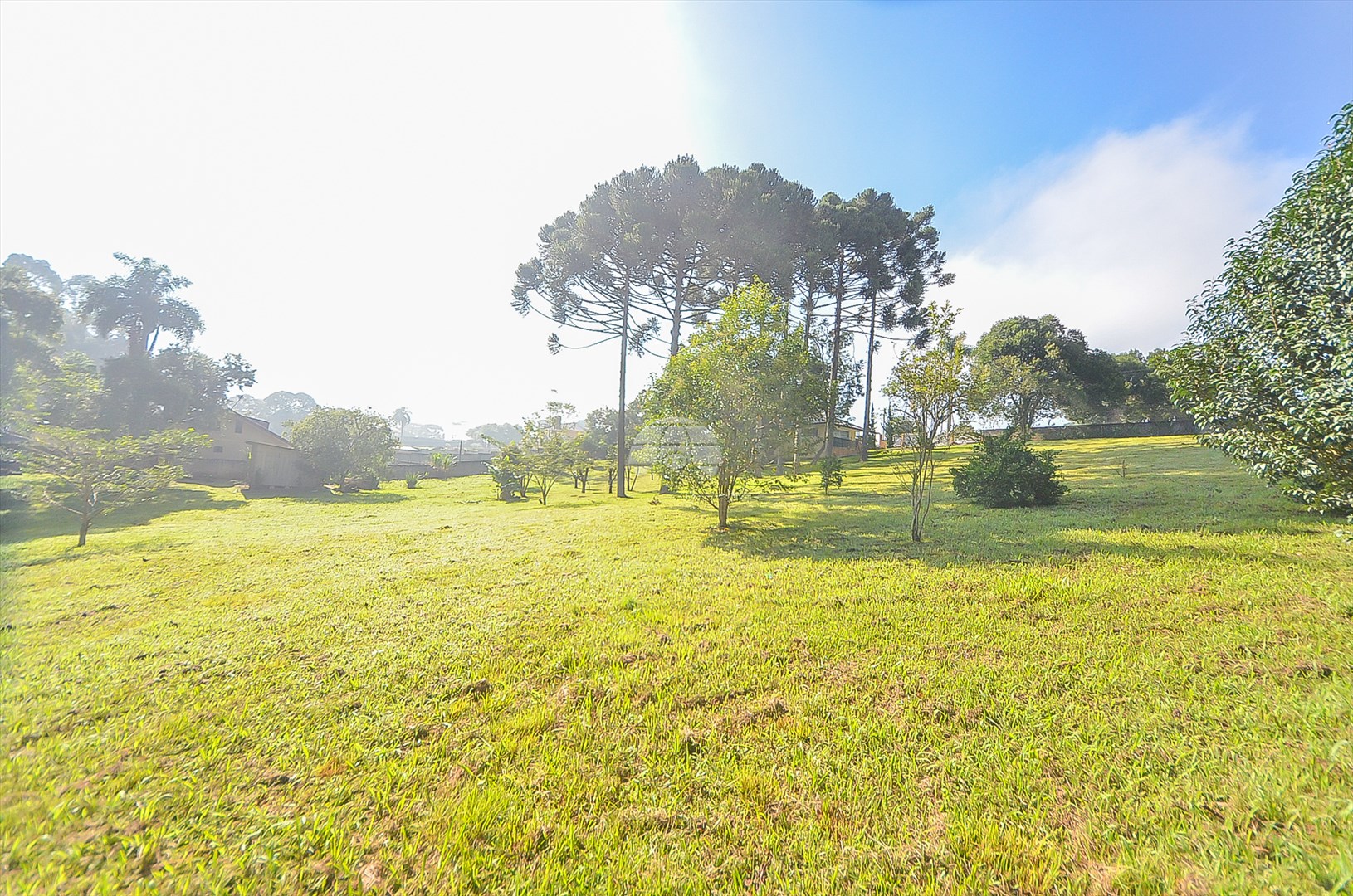 Terreno/Área à venda em Umbará, Curitiba — Imóveis em Curitiba - Jamaica Imóveis