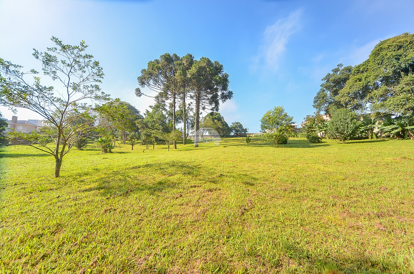 Terreno/Área à venda em Umbará, Curitiba — Imóveis em Curitiba - Jamaica Imóveis
