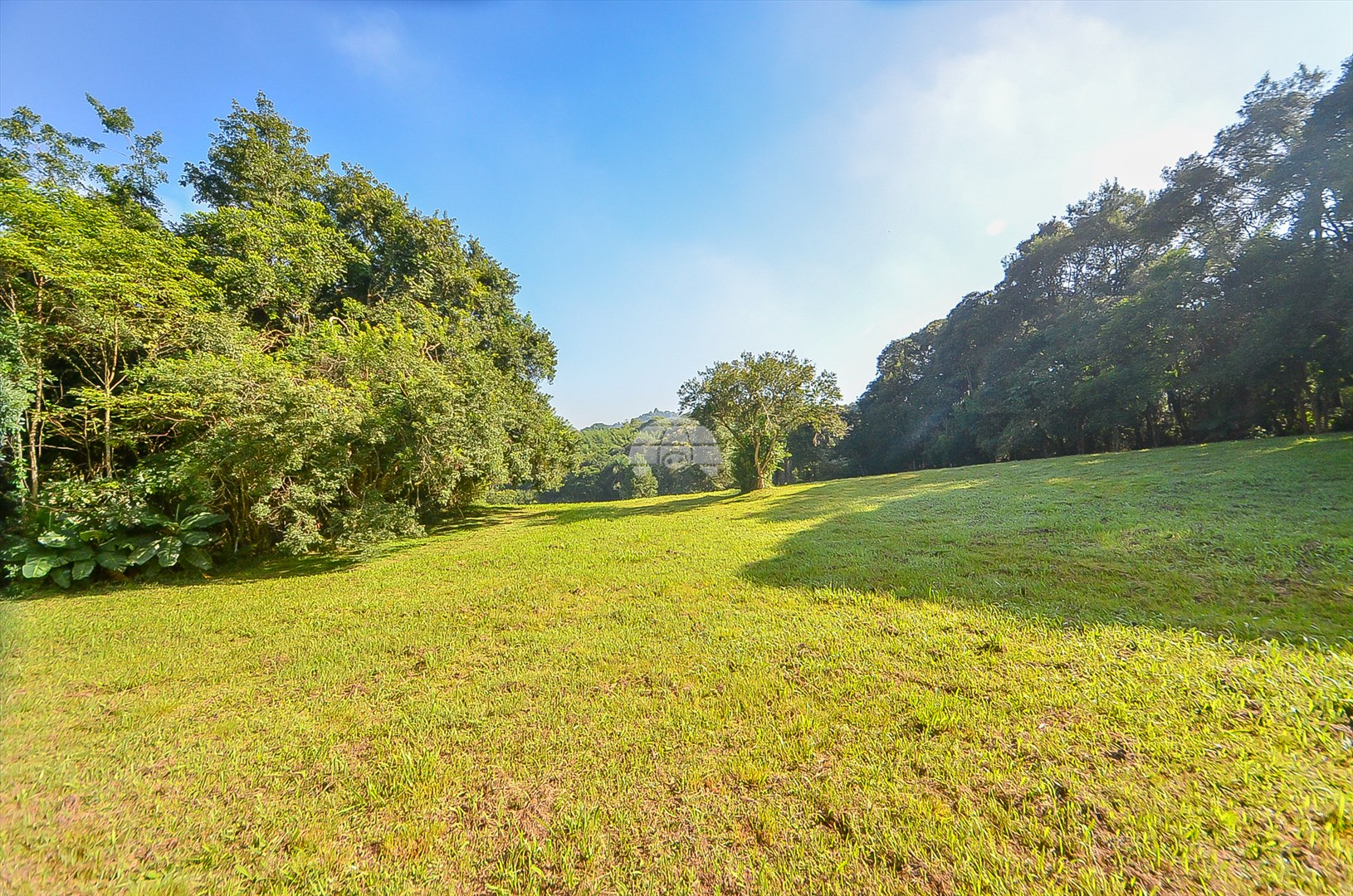 Terreno/Área à venda em Umbará, Curitiba — Imóveis em Curitiba - Jamaica Imóveis