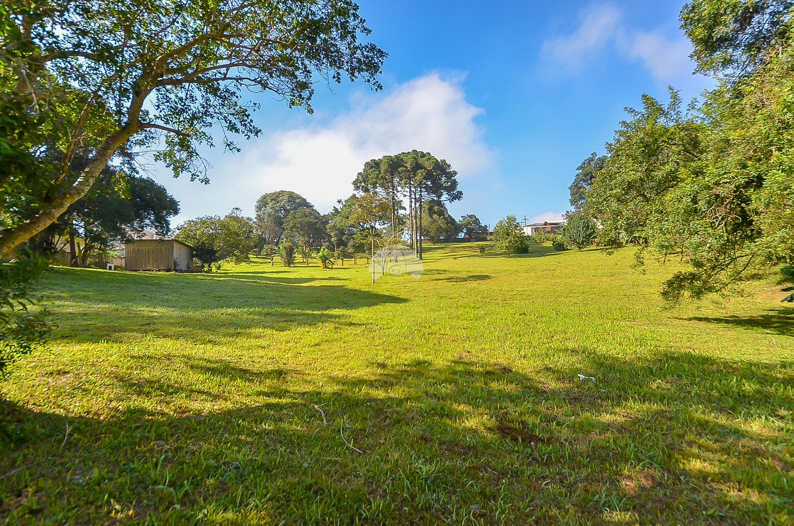 Terreno/Área à venda em Umbará, Curitiba — Imóveis em Curitiba - Jamaica Imóveis