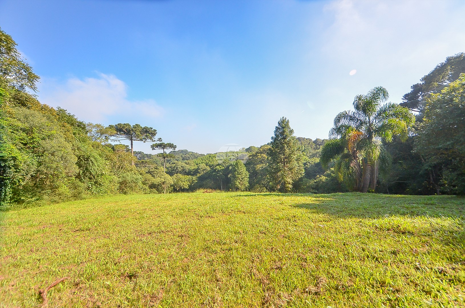 Terreno/Área à venda em Umbará, Curitiba — Imóveis em Curitiba - Jamaica Imóveis