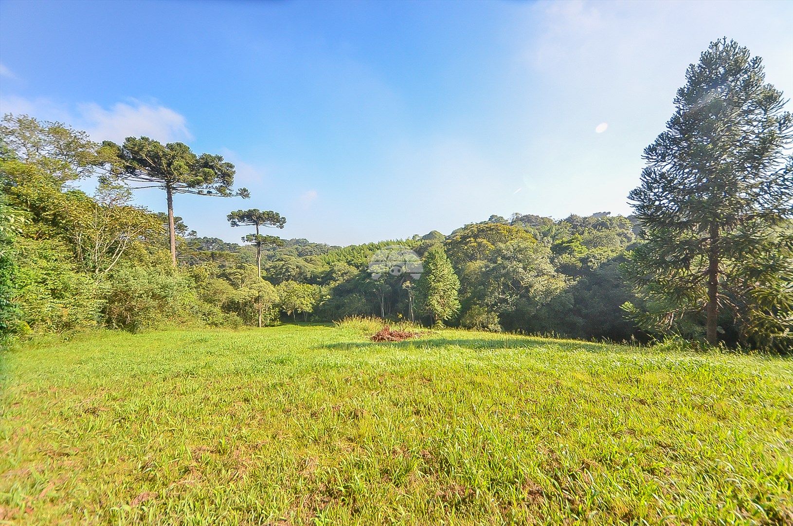 Terreno/Área à venda em Umbará, Curitiba — Imóveis em Curitiba - Jamaica Imóveis