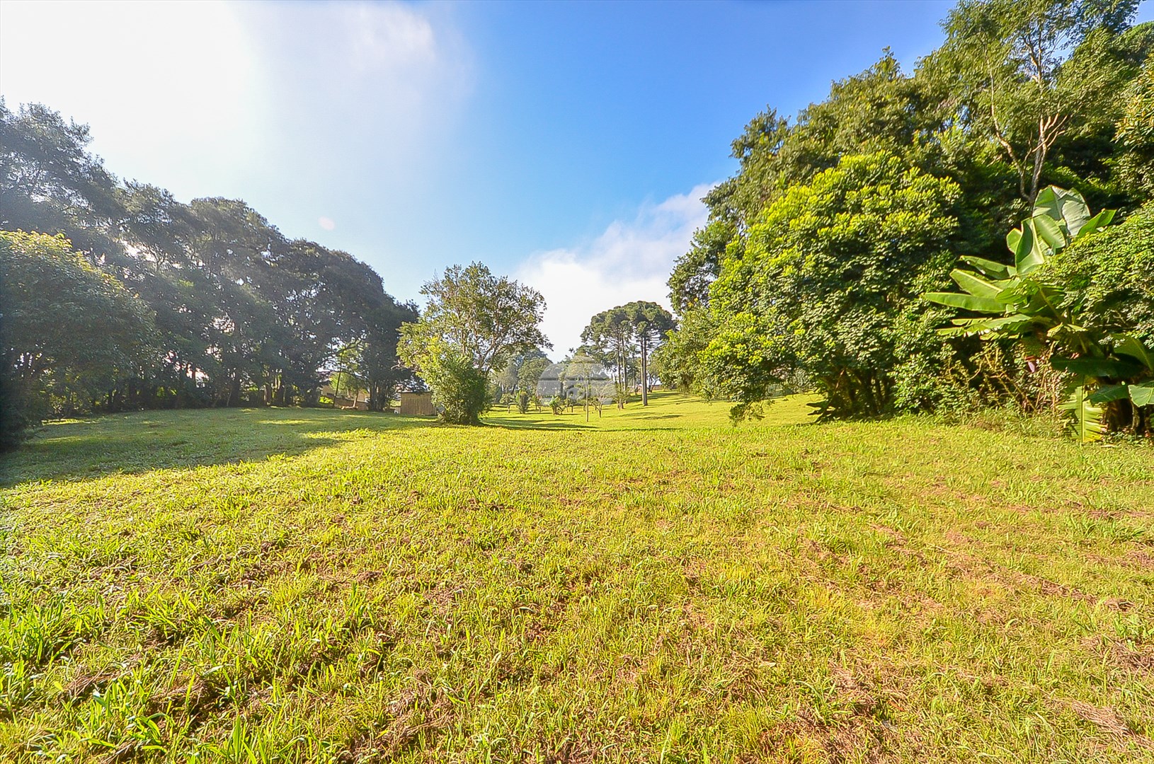 Terreno/Área à venda em Umbará, Curitiba — Imóveis em Curitiba - Jamaica Imóveis