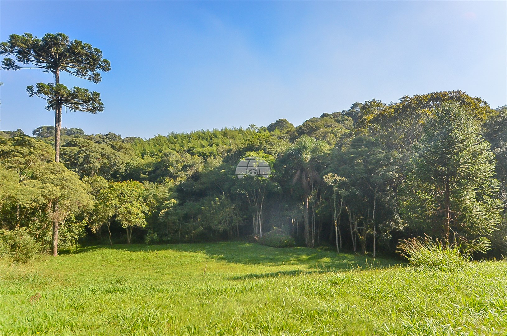 Terreno/Área à venda em Umbará, Curitiba — Imóveis em Curitiba - Jamaica Imóveis