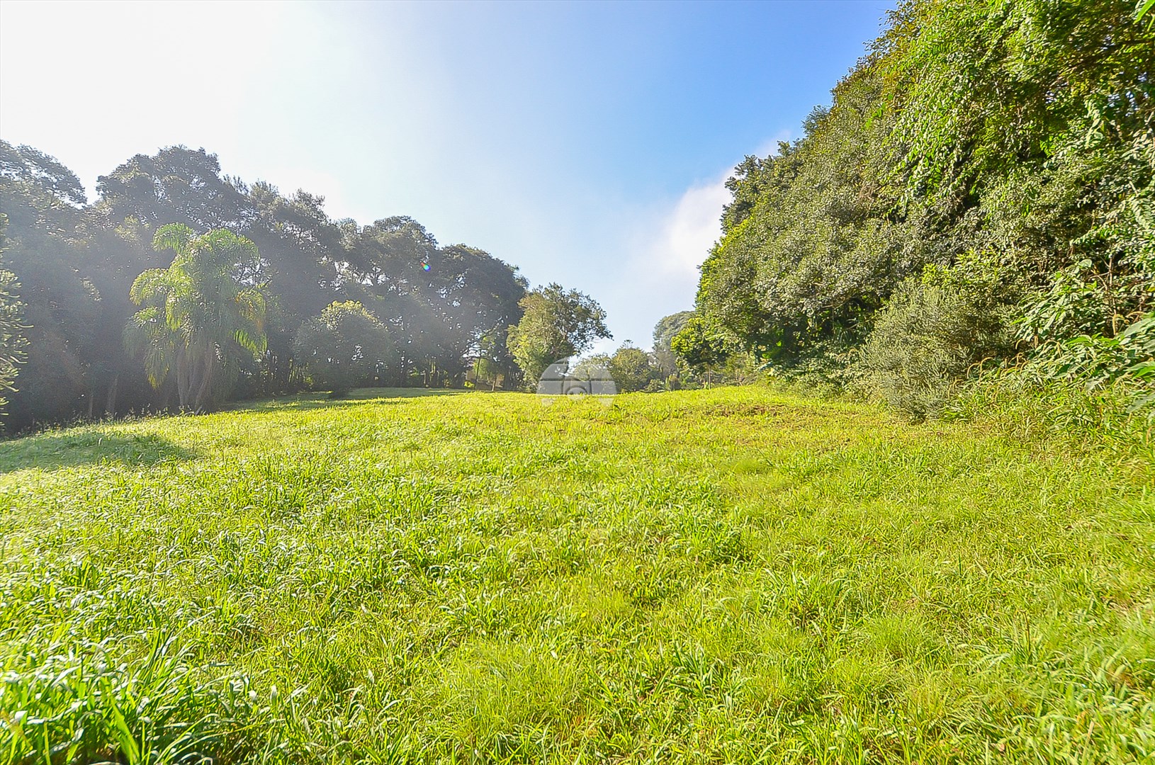 Terreno/Área à venda em Umbará, Curitiba — Imóveis em Curitiba - Jamaica Imóveis