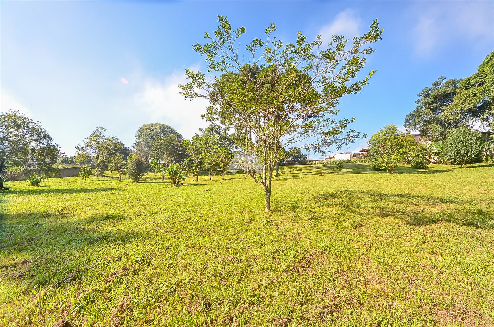 Terreno/Área à venda em Umbará, Curitiba — Imóveis em Curitiba - Jamaica Imóveis