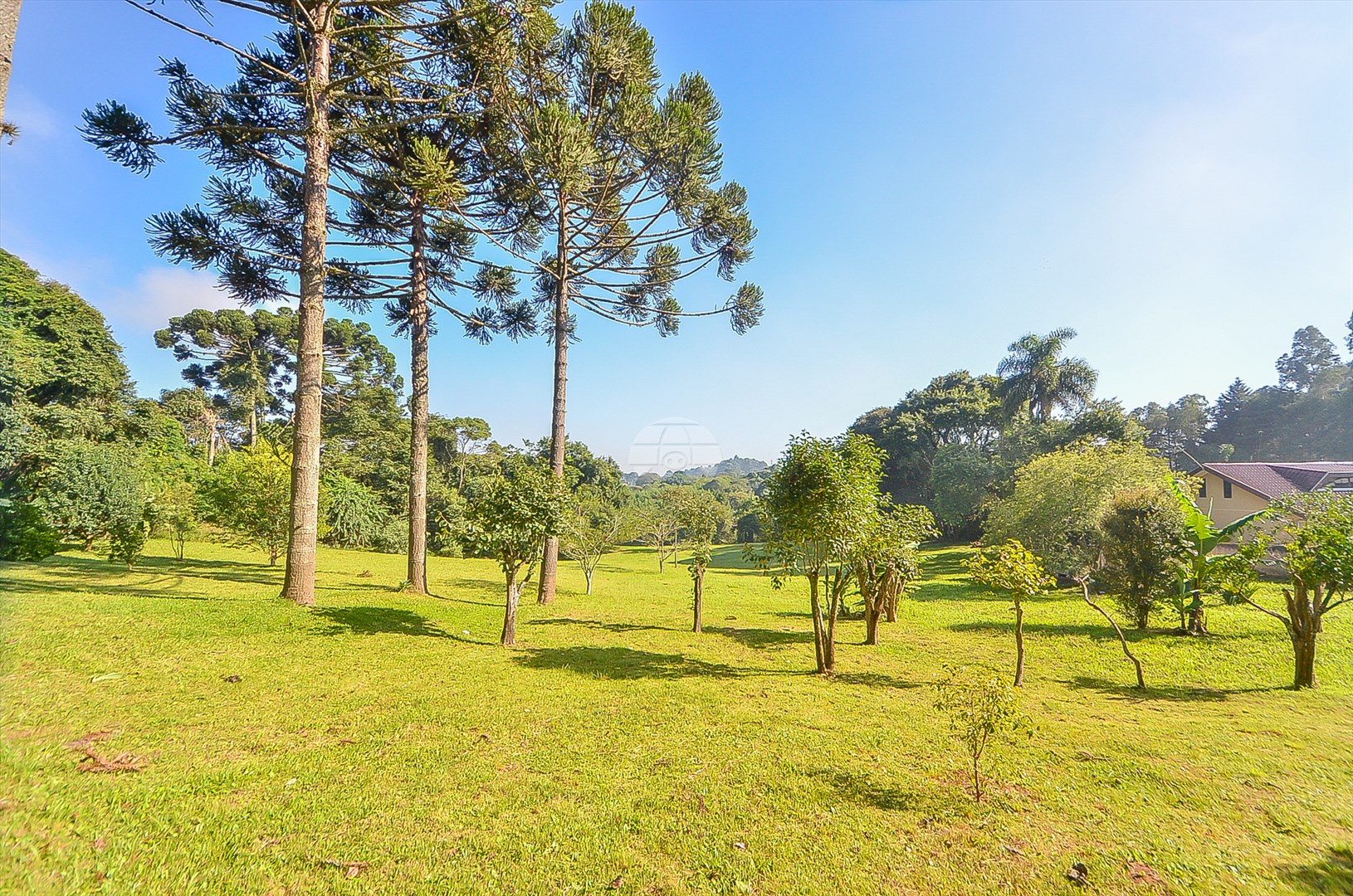Terreno/Área à venda em Umbará, Curitiba — Imóveis em Curitiba - Jamaica Imóveis