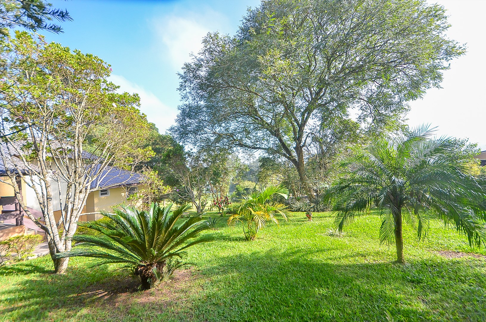 Terreno/Área à venda em Umbará, Curitiba — Imóveis em Curitiba - Jamaica Imóveis